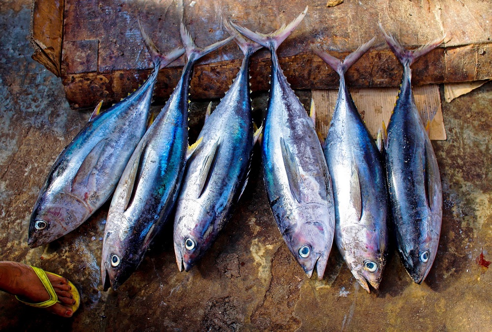 poisson-restaurant-avignon-produits-locaux